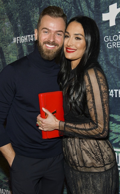 Artem Chigvintsev, Nikki Bella